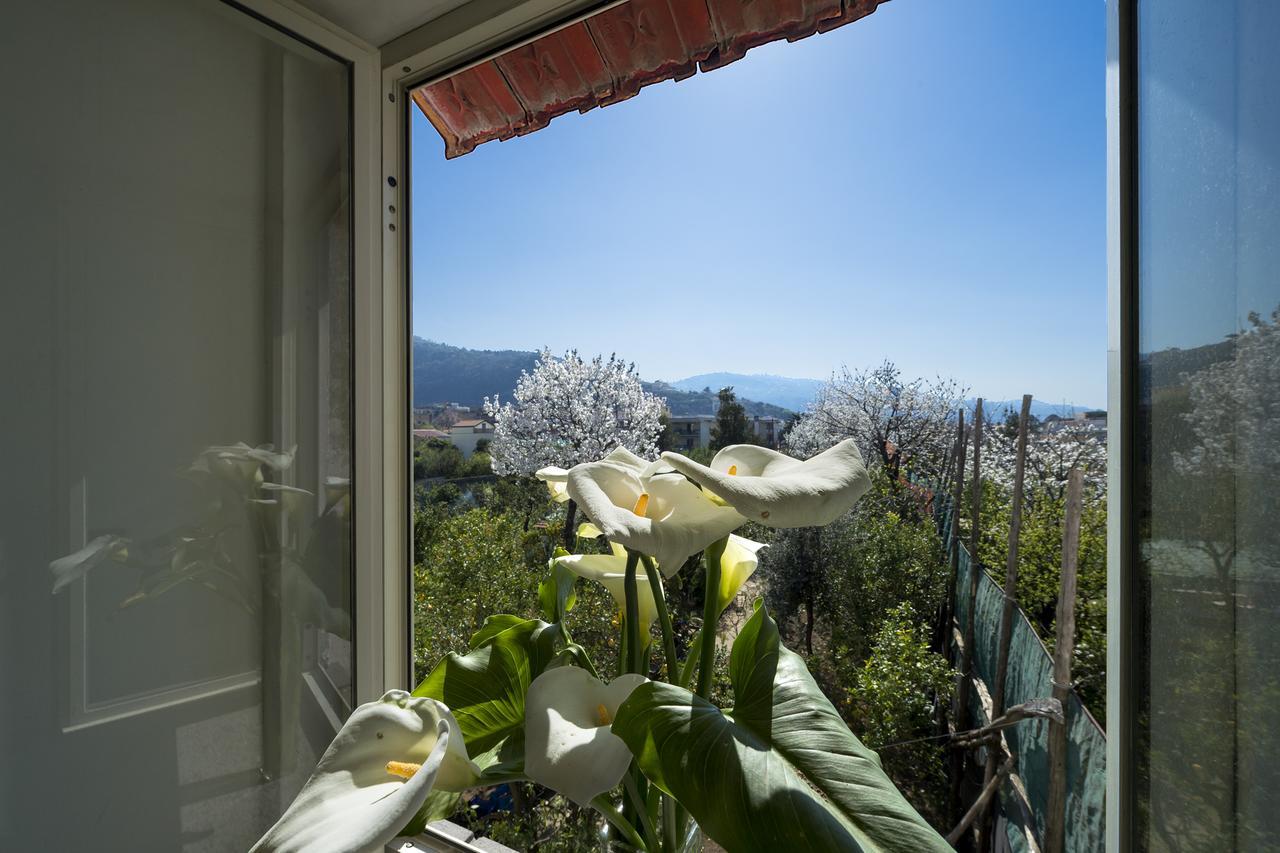 Sant'Angelo Casa Lina别墅 外观 照片